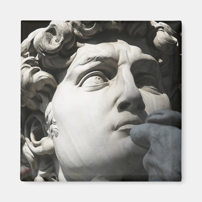 Íman David de Michelangelo (Frente)