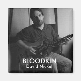 ÍMAN DAVID NICKEL MAGNET