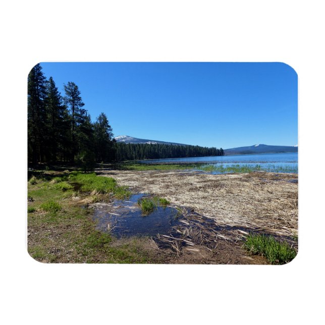 Íman Davis Lake, OR (Horizontal)