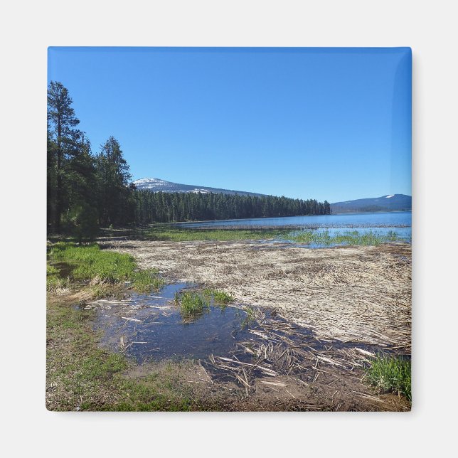 Íman Davis Lake, Oregon (Frente)