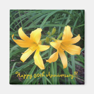 Íman DAYLILY "Downey" Dourado Duo.