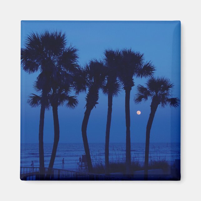 Íman Daytona Beach FL Tropical Palm Tree Moon Magnets (Frente)