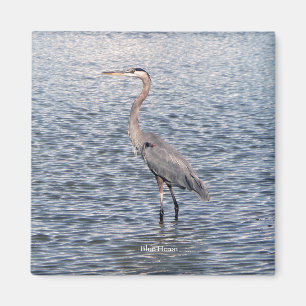 Íman de água Heron Azul