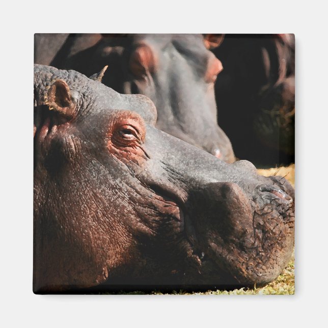 Íman de atitude Hippo (Frente)