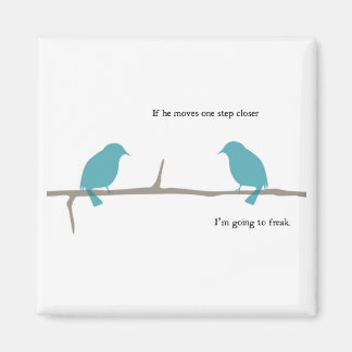 Íman de aves de conversa