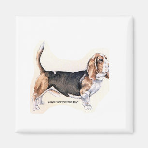 Íman de Basset Hound