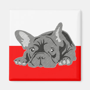 Íman de Bulldog Francês