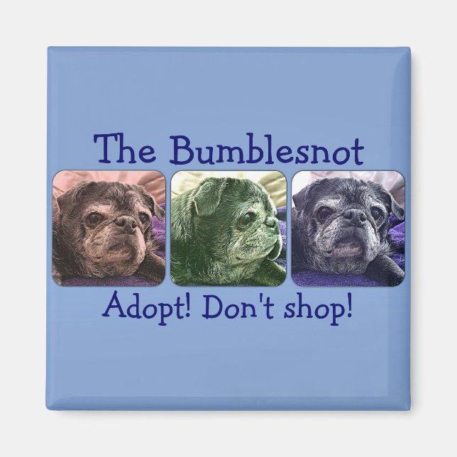 Íman de Bumblesno: Colorido Me (Frente)