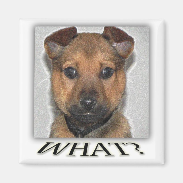 Íman de cachorro super fofo (Frente)