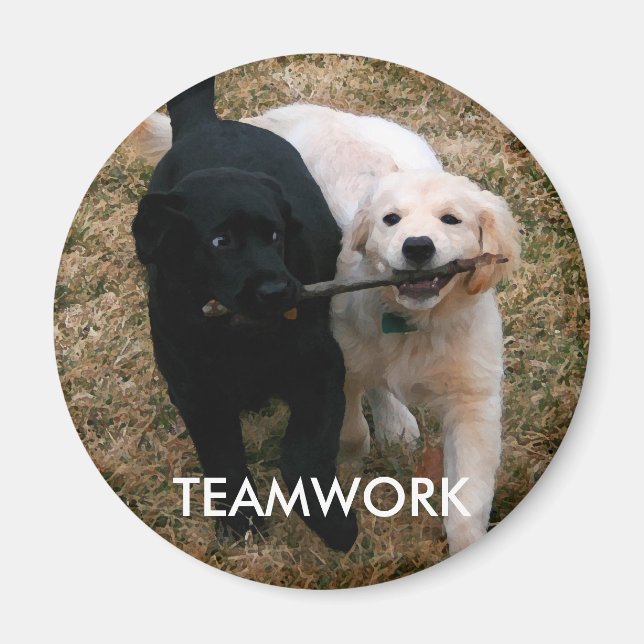 Íman de cachorros pretos e brancos (Frente)