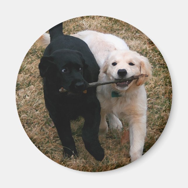 Íman de cachorros pretos e brancos (Frente)