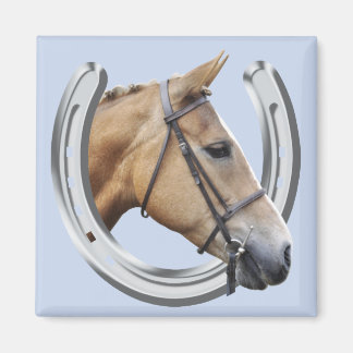 Íman de cavalo âmbar