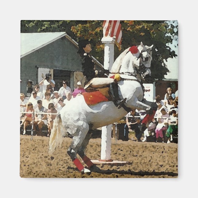 Íman de cavalo Lippizan (Frente)