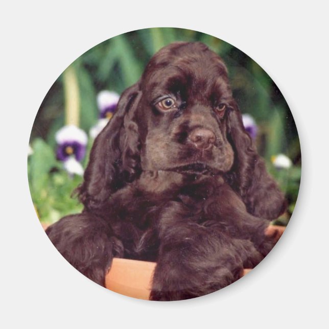 Íman de chocolate (Frente)