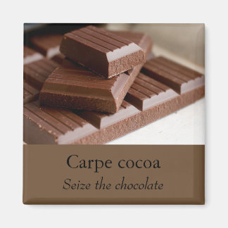 Íman de chocolate