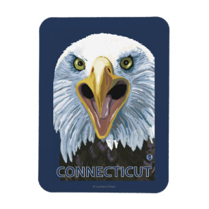 Íman De ConnecticutEagle fim acima