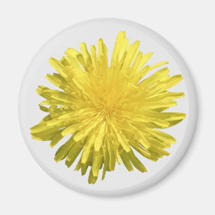 Íman de Dente-de-Leão Amarelo