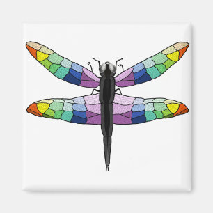 Íman de Dragonfly