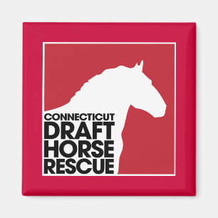 Íman de Emergência de Cavalo de Connecticut Draft
