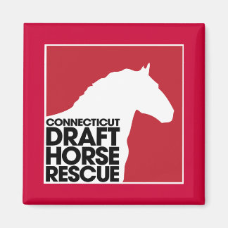 Íman de Emergência de Cavalo de Connecticut Draft