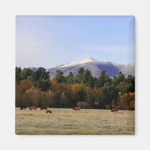 Íman de fazenda Adirondack