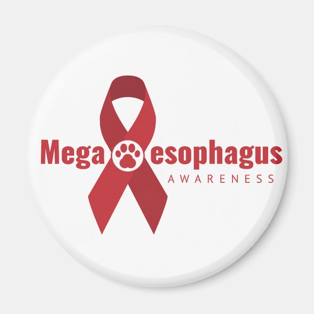 Íman de Fita de Consciência UCB ME (Frente)