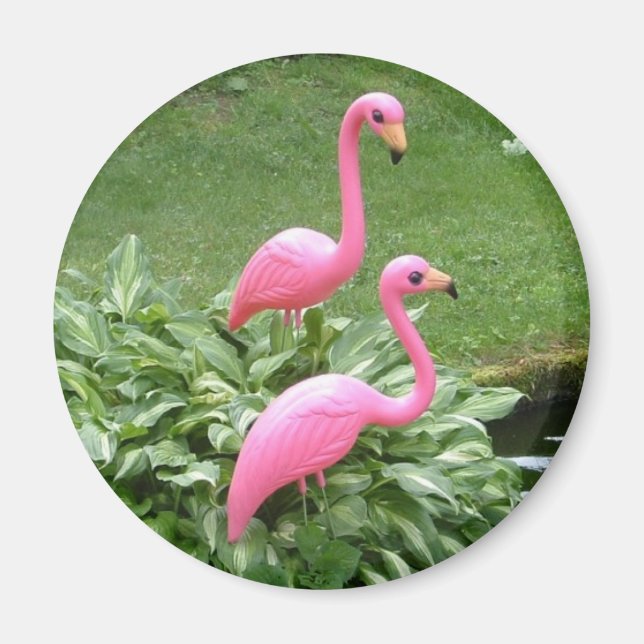íman de FLAMINGOS ROSAS (redondo) (Frente)