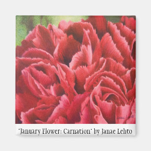 Íman De "flor janeiro: Cravo "