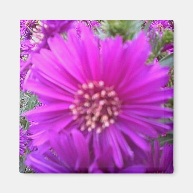 Íman de flores (Frente)