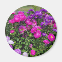 Íman de Flores de Matsumoto