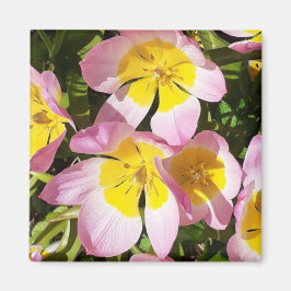 Íman de flores rosa e amarela