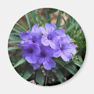 Íman de flores violeta