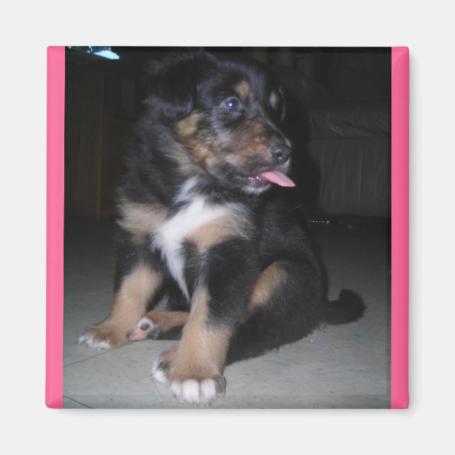 Íman de framboesa (Frente)