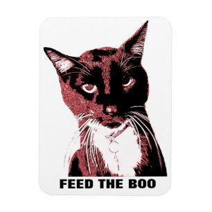 Íman de gato