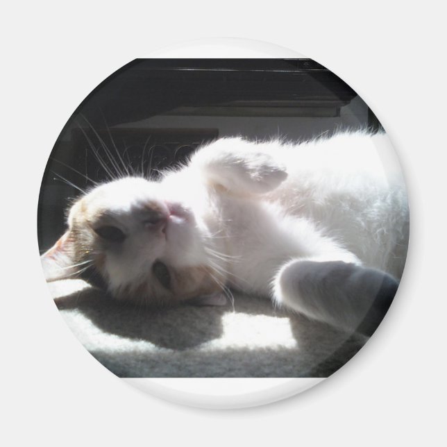 íman de gato (Frente)