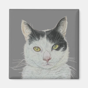 Íman de gato divertido