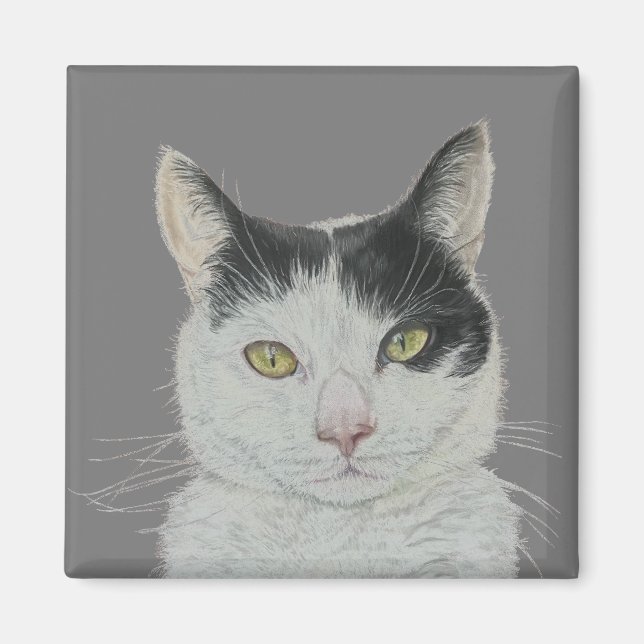 Íman de gato divertido (Frente)