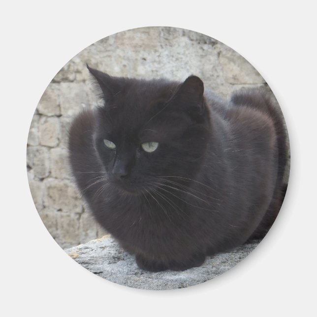 Íman de Gato Negro (Frente)