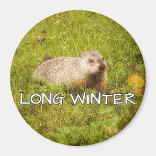 Íman de inverno longo