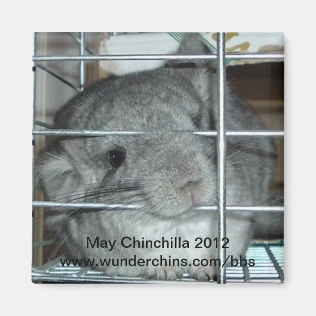 Íman de maio chinchilla 2012 (Frente)