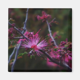 íman de peluche rosa