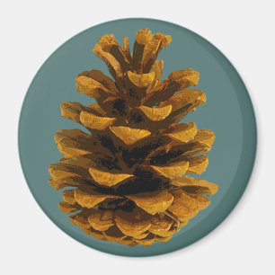 Íman de Pinecone palooza