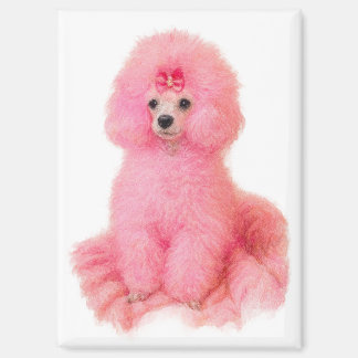 íman de poodle toy rosa, poodle rosa, geladeira