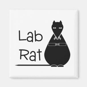 Íman de rato de laboratório