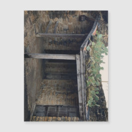 Íman de Roof Cactus