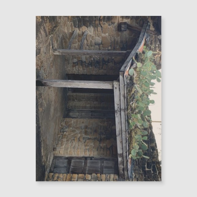 Íman de Roof Cactus (Frente)