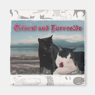 Íman de Triscat e Purrsolde
