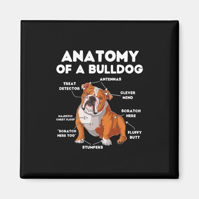 Íman De Um Bulldog (Frente)