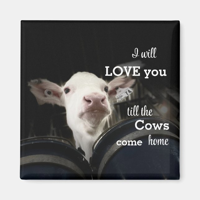 Íman de vaca (Frente)