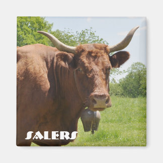 Íman de vaca